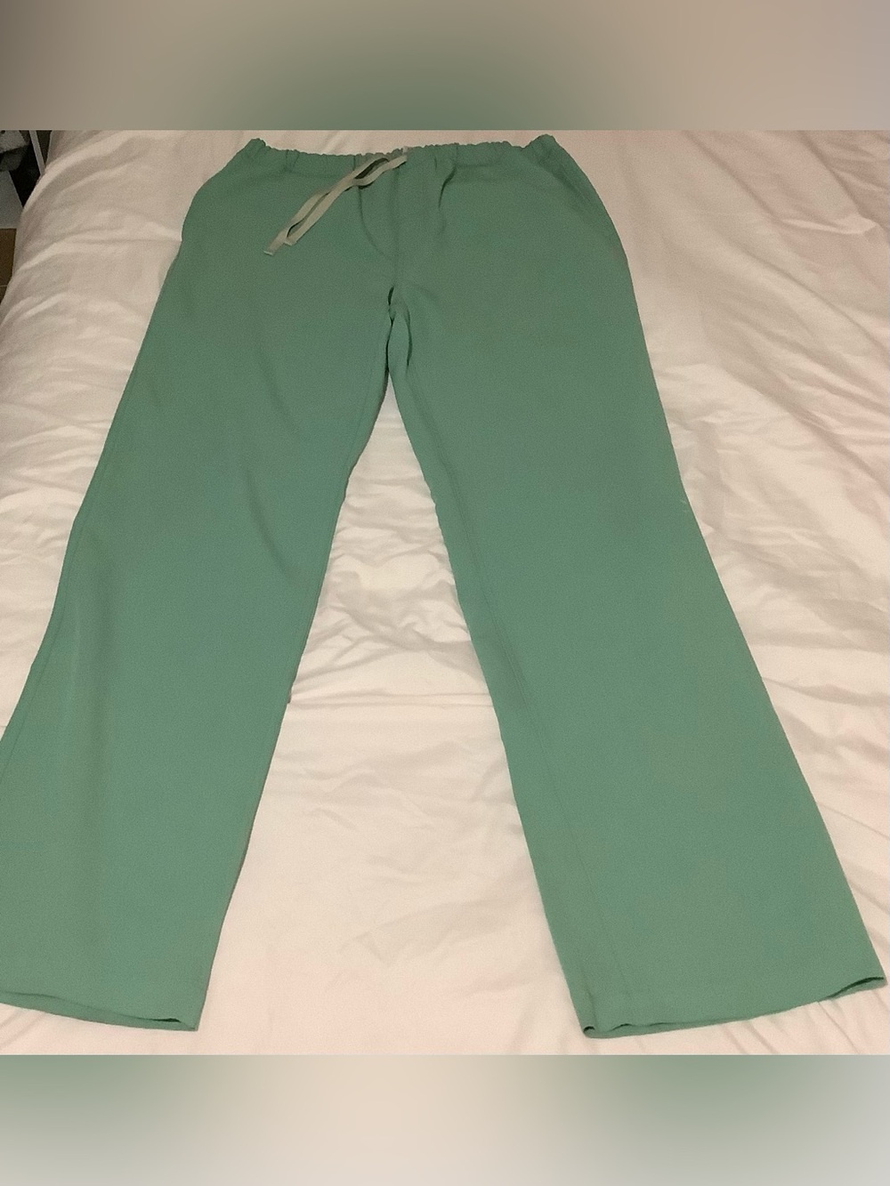 Figs scrub Men’s Jade Pisco Pants Medium